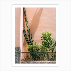 Cactus Plants against pink Wall in Fes, Morocco | Colorful travel photography Art Print
