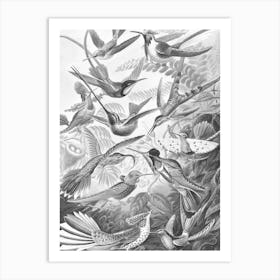 HUMMINGBIRDS 2.0 Black / White Art Print