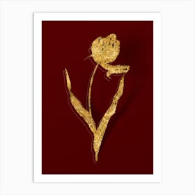 Vintage Didier's Tulip Botanical in Gold on Red n.0067 Art Print