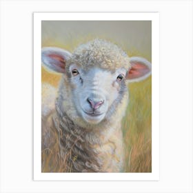 Lamb In The Grass 3 Art Print