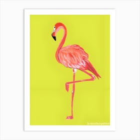 Flamingo 31 Art Print