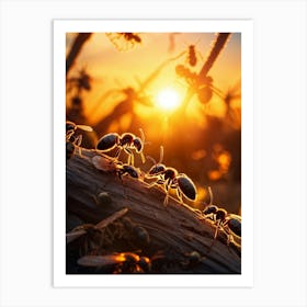 Ant Colony Collaboratively Foraging Under The Glowing Blaze Of A Setting Sun With Elongated Shadows (1) 2 Art Print