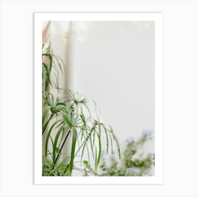 Tropical Houseplant Art Print