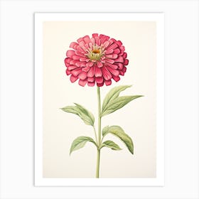 Zinnias Flower Vintage Botanical 3 Art Print