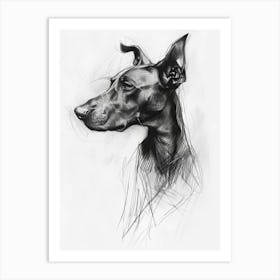 Pinscher Dog Charcoal Line Art Print