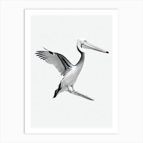 Pelican B&W Pencil Drawing 2 Bird Art Print