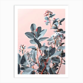 Eucalyptus 7 Art Print