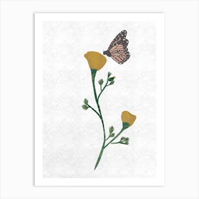 Poppy And Butterfly Art Print