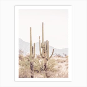 Arizona Cactus Art Print
