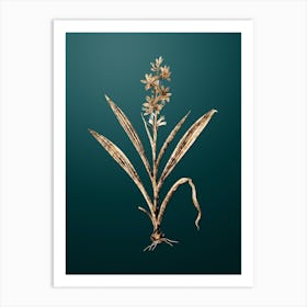 Gold Botanical Wachendorfia Thyrsiflora on Dark Teal n.2880 Art Print