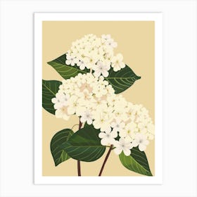 Hydrangea 11 Art Print