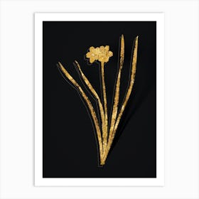 Vintage Primrose Peerless Botanical in Gold on Black Art Print