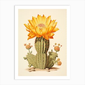 Vintage Cactus Illustration Golden Barrel Cactus Art Print