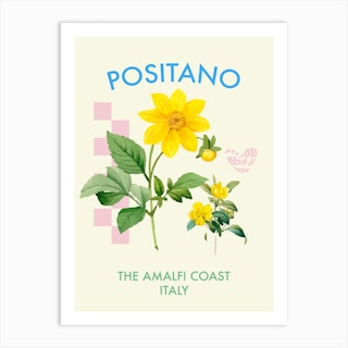 Positano Flower Poster Art Print