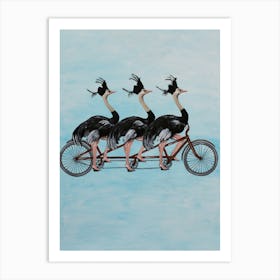 Ostriches On Bicycle Art Print