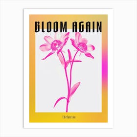 Hot Pink Edelweiss 2 Poster Art Print