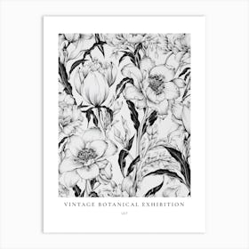 Lily B&W Vintage Botanical Poster Art Print