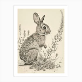 Rex Rabbit Drawing 1 Art Print