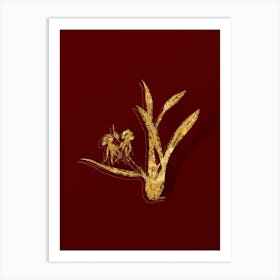 Vintage Clamshell Orchid Botanical in Gold on Red n.0485 Art Print