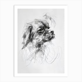 Tibetan Spaniel Dog Charcoal Line 3 Art Print