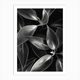 Black And White Leaves 4 Art Print