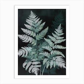 Silver Lace Fern Painting 1 Art Print