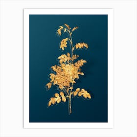 Vintage Alpine Rose Botanical in Gold on Teal Blue n.0346 Art Print