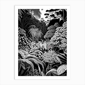 Adelaide Botanic Garden, 2, Australia Linocut Black And White Vintage Art Print