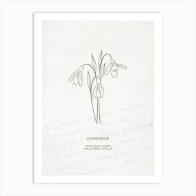 Snowdrop Birth Flower | Antique Art Print