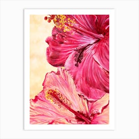 Hibiscus Flowers Art Print