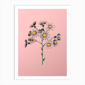 Vintage Lilac Senecio Flower Botanical on Soft Pink n.0770 Art Print