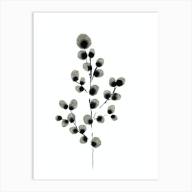 Eucalyptus Art Print