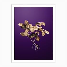 Gold Botanical American Wintergreen Plant on Royal Purple n.4626 Art Print