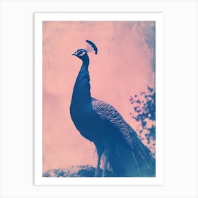 Peacock In The Wild Cyanotype Inspired 4 Art Print