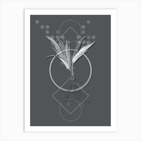 Vintage Date Palm Tree copy Botanical with Line Motif and Dot Pattern in Ghost Gray n.0278 Art Print