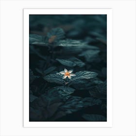 Single Flower In Water 28 Art Print