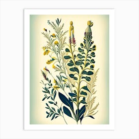 Wild Senna Wildflower Vintage Botanical Art Print
