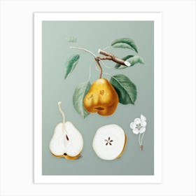 Vintage Pear Botanical Art on Mint Green n.0555 Art Print