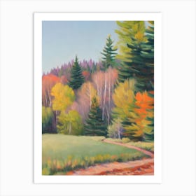 Blue Spruce Tree Watercolour 1 Art Print