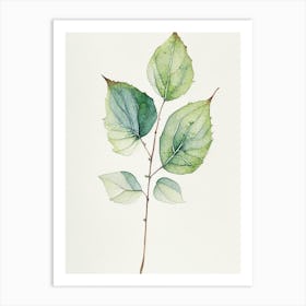 Viburnum Leaf Minimalist Watercolour 2 Art Print