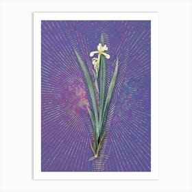 Vintage Yellow Banded Iris Botanical Illustration on Veri Peri n.0105 Art Print