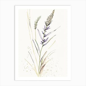 Psyllium Herb Minimalist Watercolour 1 Art Print