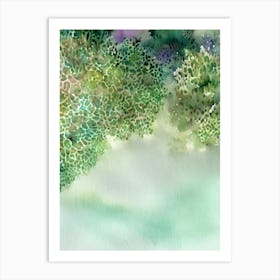 Acropora Clathrata Storybook Watercolour Art Print