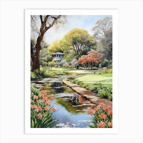 Adelaise Botanical Gardens Australia Watercolour 1 Art Print
