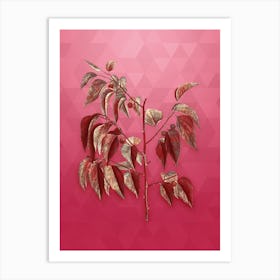 Vintage Common Hackberry Botanical in Gold on Viva Magenta n.0266 Art Print