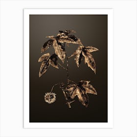 Gold Botanical American Sweetgum on Chocolate Brown n.0621 Art Print