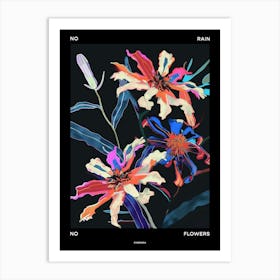 No Rain No Flowers Poster Cineraria 5 Art Print