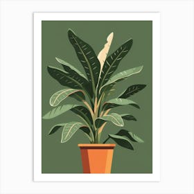 Banana Plant In A Pot 3 Art Print