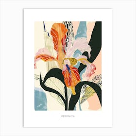 Colourful Flower Illustration Poster Veronica 2 Art Print