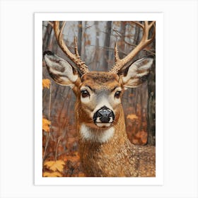 Deer In The Woods 8 Art Print